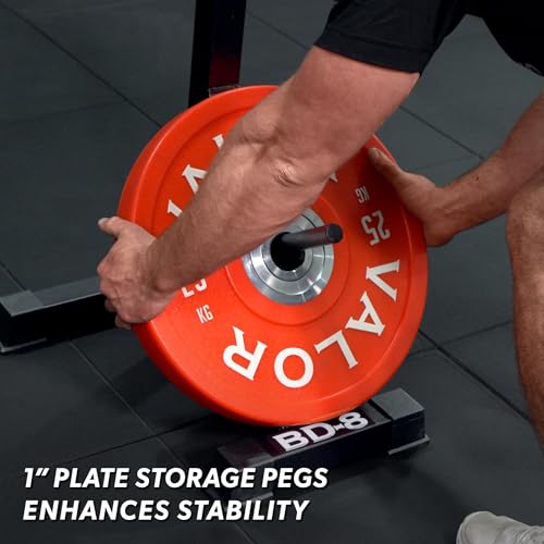 Valor Fitness Adjustable Squat Stand with J-Hooks & Spotters